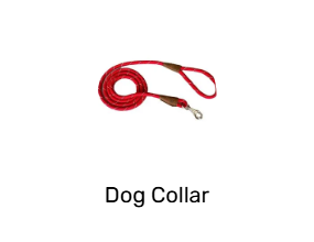Dog Collar