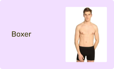Boxer