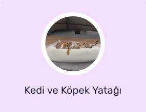 Kedi ve Köpek Yatağı