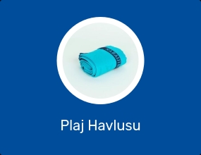 Plaj Havlusu