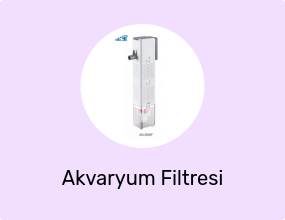 İç Filtre Yeni Nesil Beyaz 28W 1800 Lth
