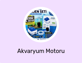 UFAK AKVARYUM VE FAUNUS TEMİZLİK VE OKSİJEN SETİ (Sessiz 3 wat hava motoru ,mini pipo filtre ,1,5 metre hava hortumu )