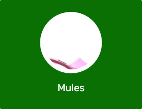 Mules