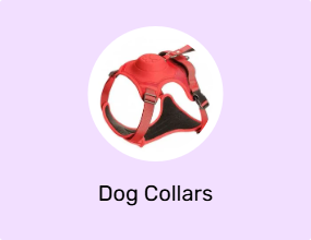 Dog Collars