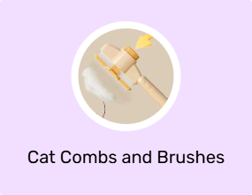 Cat Combs and Brushes
