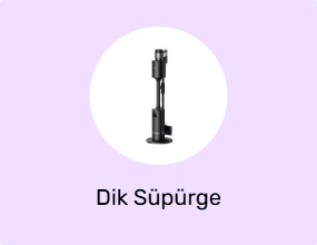 Dik Süpürge