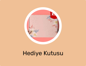 Hediye Kutusu