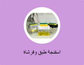 اسفنجة طبق وفرشاة