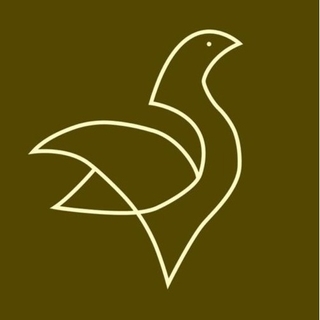 Seramik Sanat Market