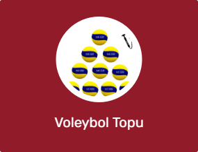 Voleybol Topu