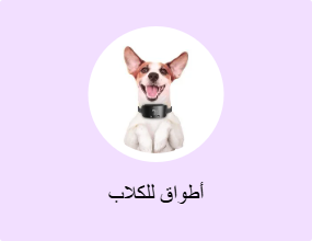 أطواق للكلاب