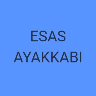 ESAS AYAKKABI logo