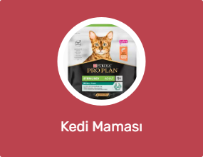 Kedi Maması