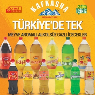 KAFKASYA MEŞRUBATLARI