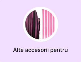 Alte accesorii pentru păr