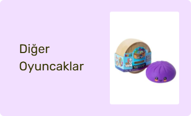 Diğer Oyuncaklar