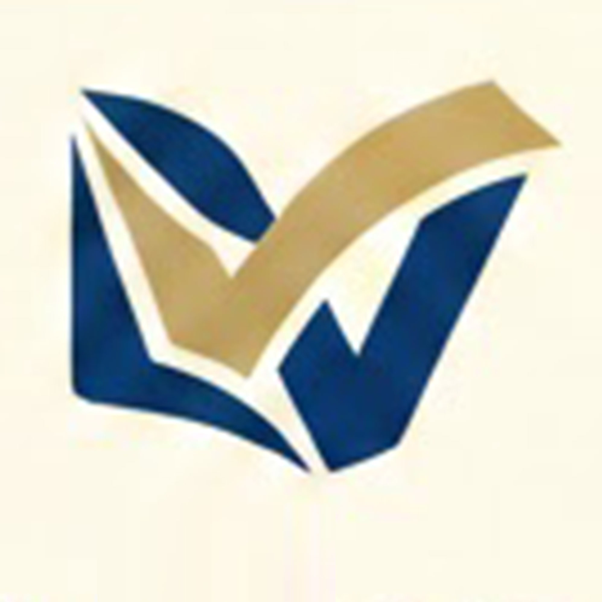 Madvim Store logo