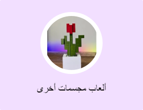 ألعاب مجسمات أخرى