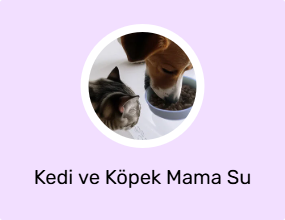 Kedi ve Köpek Mama Su Kabı