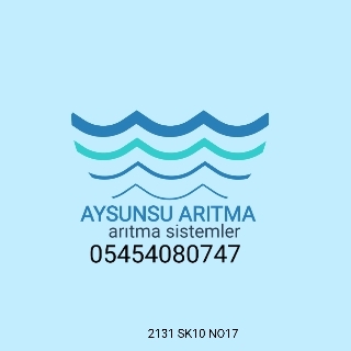 aysunsu