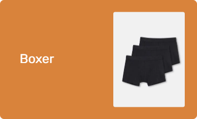 Boxer