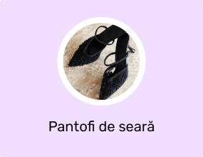 Pantofi de seară