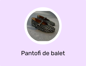 Pantofi de balet