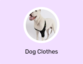 Dog Clothes