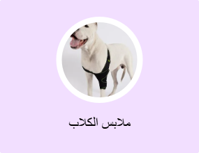 ملابس الكلاب