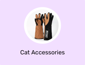 Cat Accessories