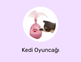 Kedi Oyuncağı