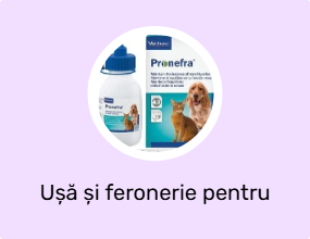 Ușă și feronerie pentru ușă