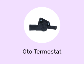 Oto Termostat