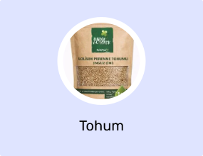 Tohum