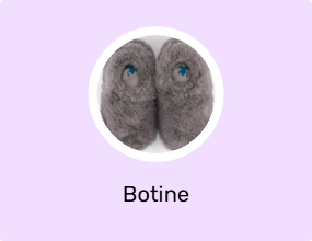 Botine
