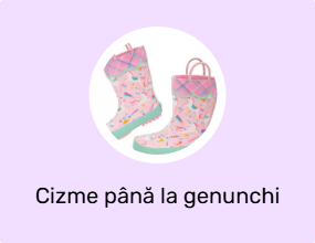 Cizme până la genunchi