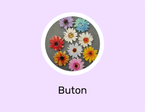 Buton