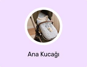 Ana Kucağı