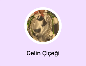 Gelin Çiçeği