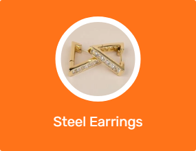 Steel Earrings