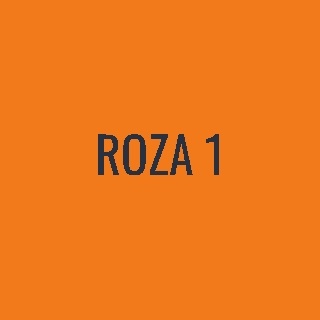 ROZA 1 logo