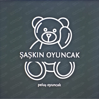ŞAŞKIN OYUNCAK