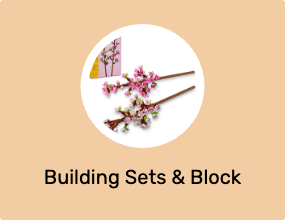 Building Sets & Block Toys