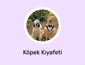 Köpek Kıyafeti