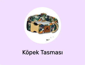 Köpek Tasması