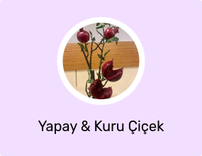 Yapay & Kuru Çiçek