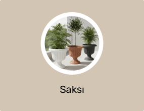 Saksı