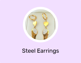 Steel Earrings