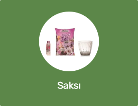 Saksı