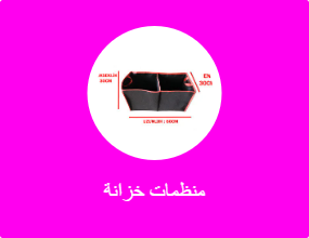 منظمات خزانة